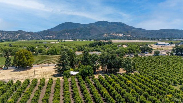 a view of a lush green hillside and houses
