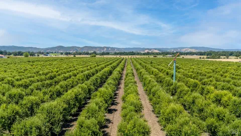 a view of outdoor space and mountain view