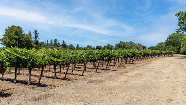 a view of a yard with a bench