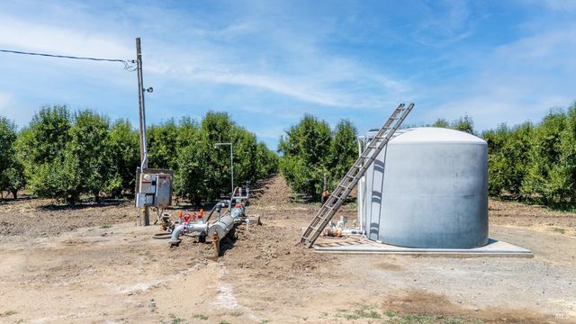 a view of a field with a tree in the background