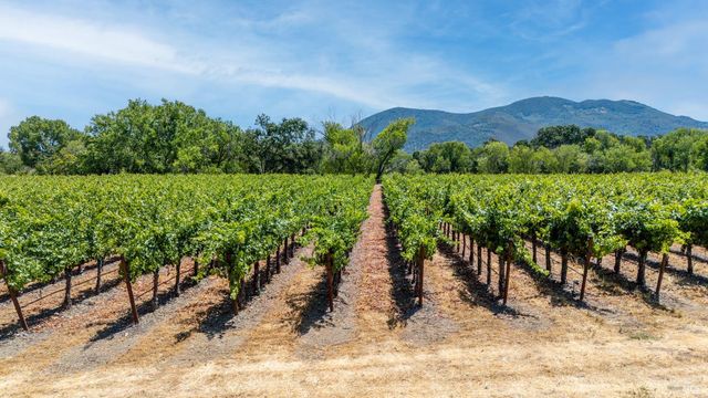 a view of a pathway with a yard