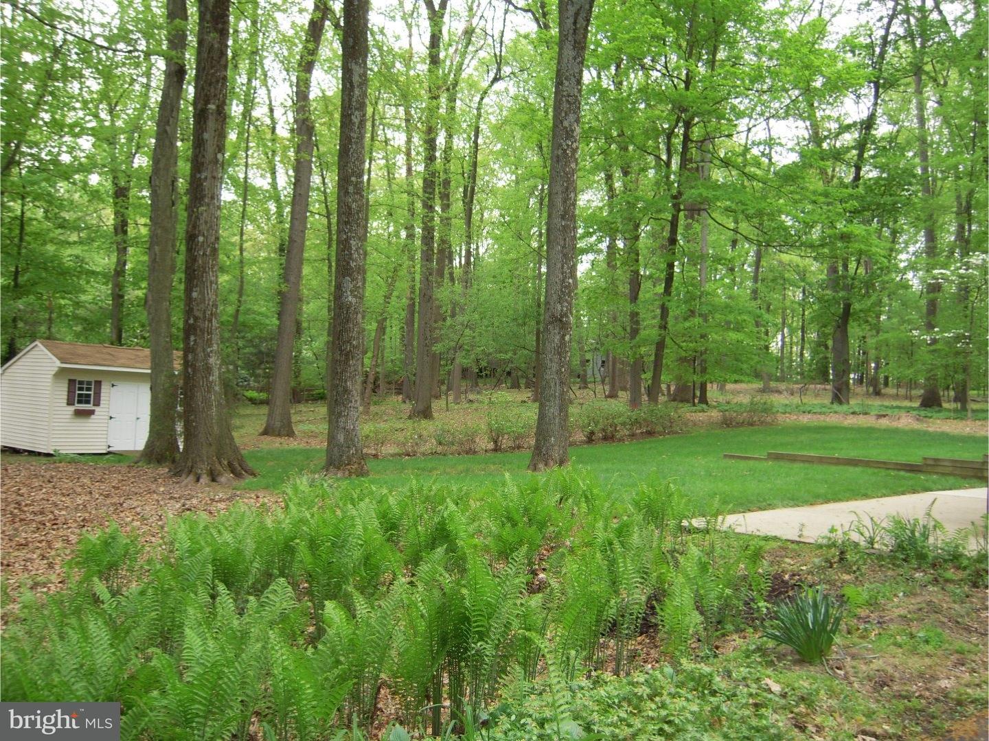 6245 Greenhill Road New Hope, PA 18938 - Photo 23 of 25 Exterior Back