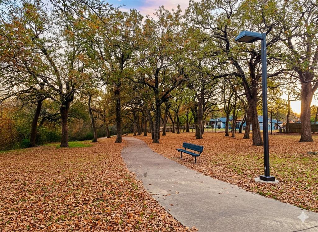2214 Rex Cruse Drive Sherman, TX 75092 - Photo 40 of 40 a street view covered with snow and trees
