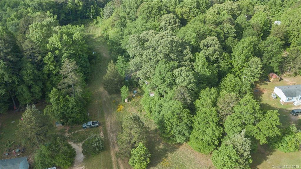 1898 Canal Road Catawba, SC 29704 - Photo 16 of 24 a view of a forest that has a tree