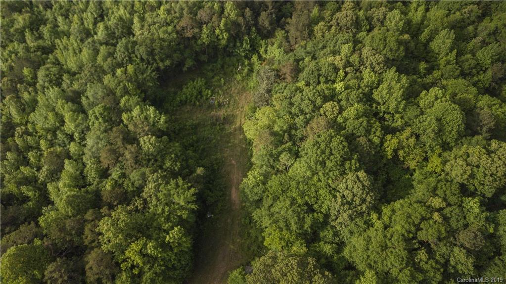 1898 Canal Road Catawba, SC 29704 - Photo 17 of 24 a view of a lush green forest