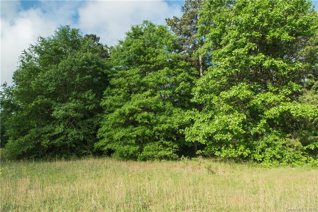 1898 Canal Road Catawba, SC 29704 - Photo 18 of 24 a view of a lake view