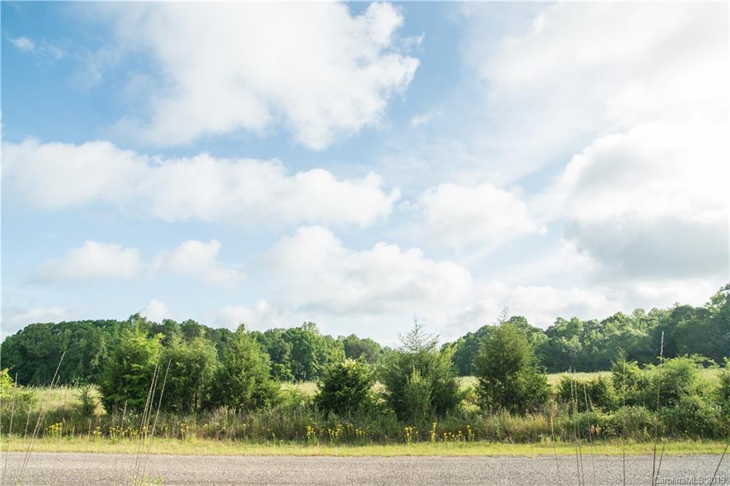 1898 Canal Road Catawba, SC 29704 - Photo 20 of 24 a view of a big yard with plants and large trees
