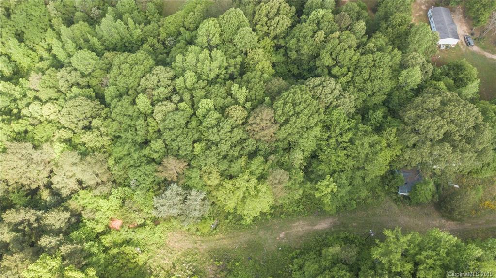 1898 Canal Road Catawba, SC 29704 - Photo 5 of 24 a view of a lush green forest with large trees