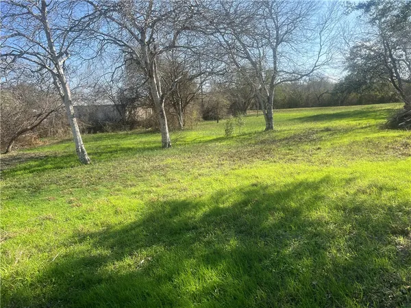 a view of a park with large trees