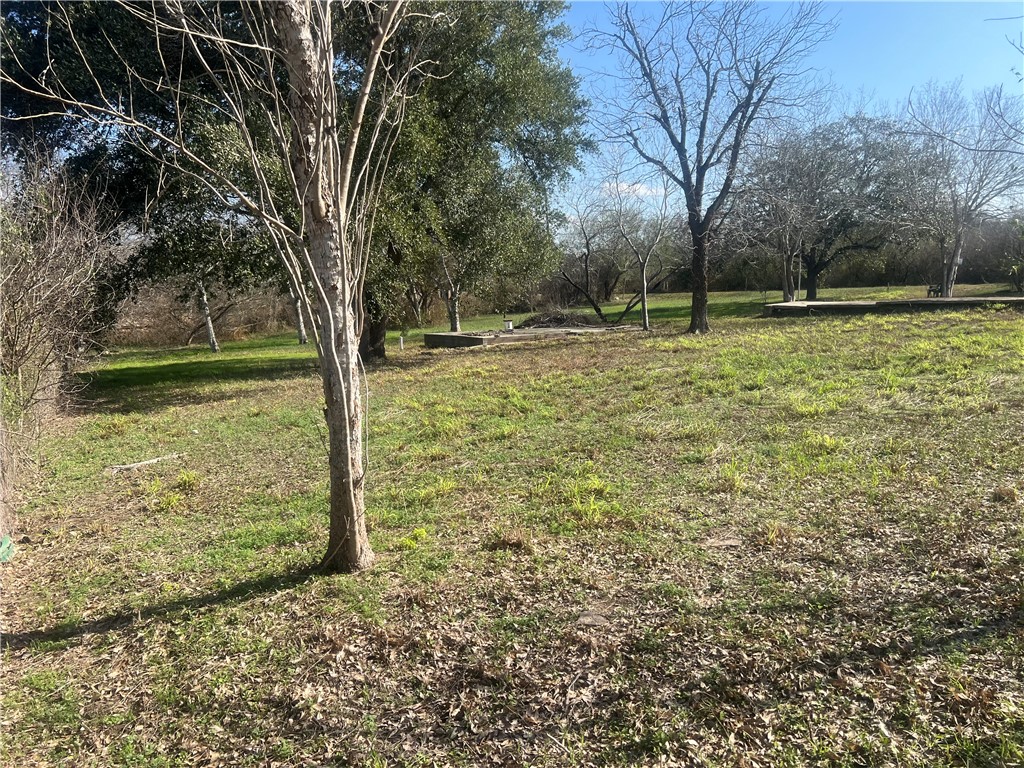 9561 County Road 509 Mathis, TX 78368 - Photo 16 of 23