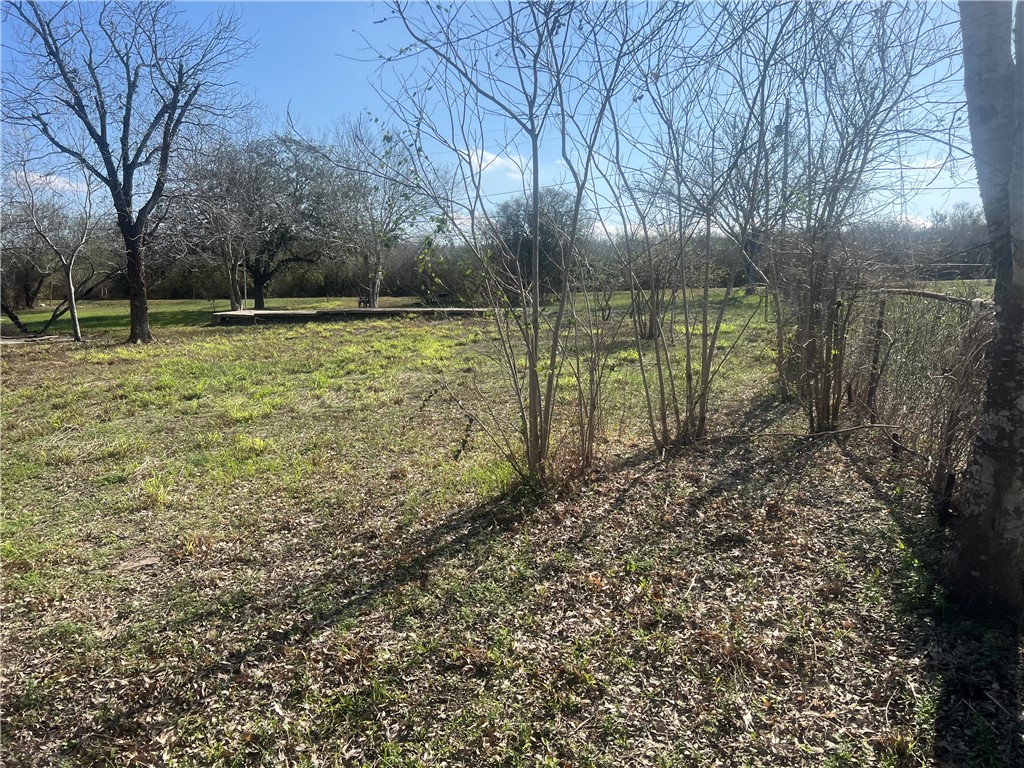 9561 County Road 509 Mathis, TX 78368 - Photo 17 of 23