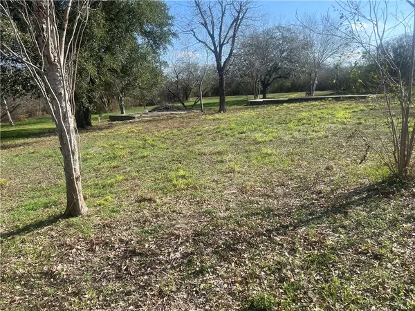 a view of a yard with a trees