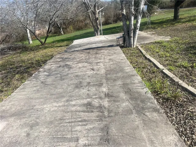 a view of a yard with plants