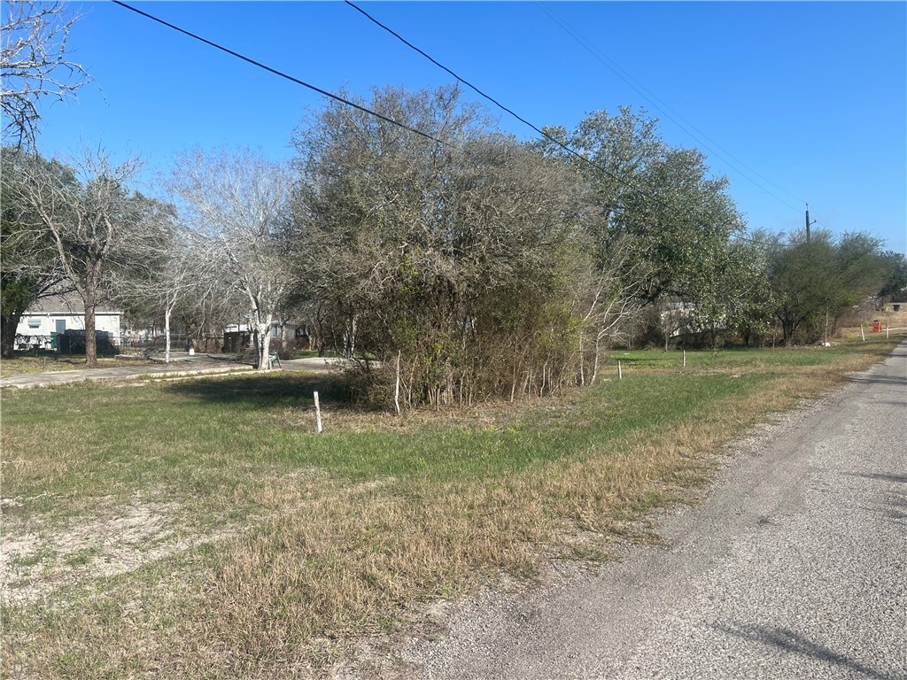 9561 County Road 509 Mathis, TX 78368 - Photo 5 of 23