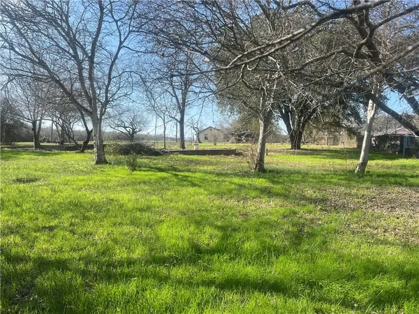 a big yard with lots of green space and trees