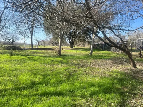 a green field with lots of trees