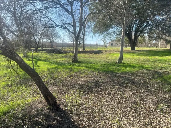 a view of a park with large trees