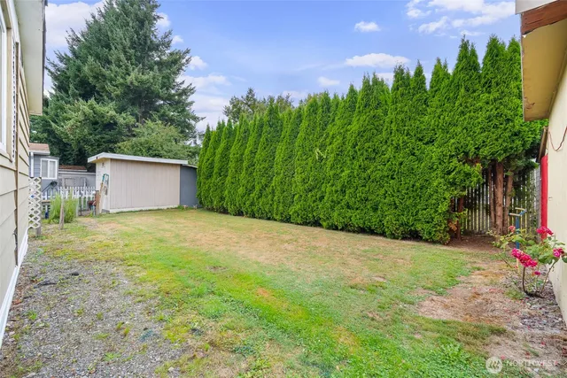 a view of a backyard with plants and large trees