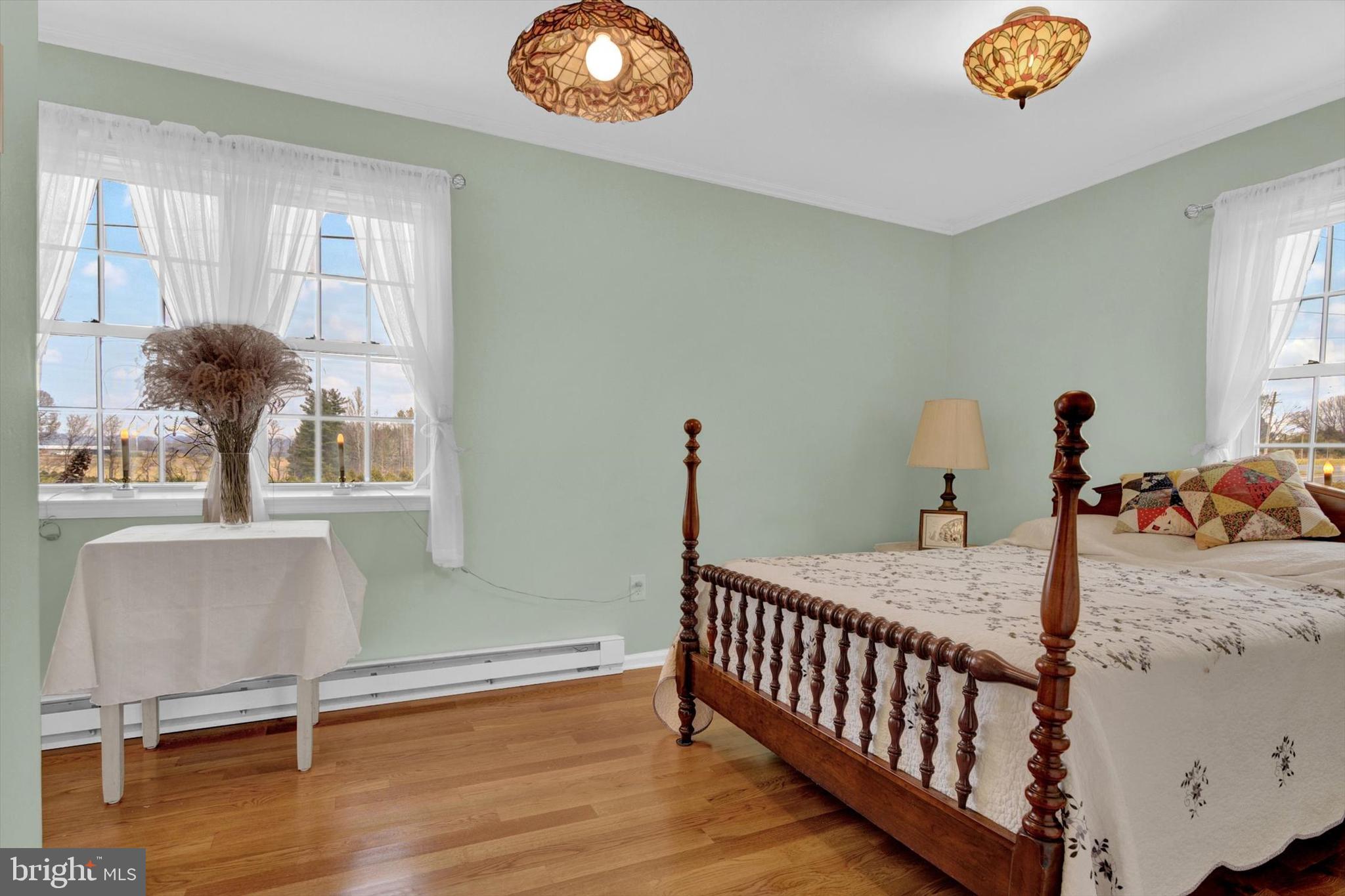 928 Nesbitt Road Colora, MD 21917 - Photo 12 of 34 Master Bedroom