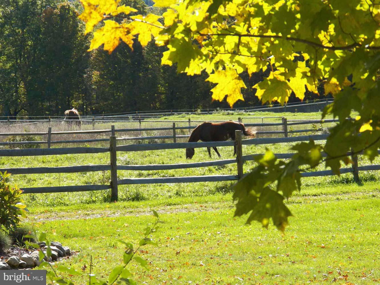 928 Nesbitt Road Colora, MD 21917 - Photo 34 of 34 Horse Farm