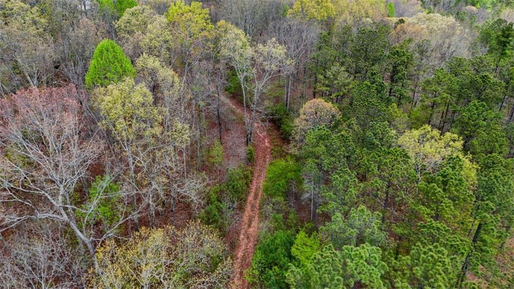 78-acr Cross Plains Road Carrollton, GA 30116 - Photo 11 of 13
