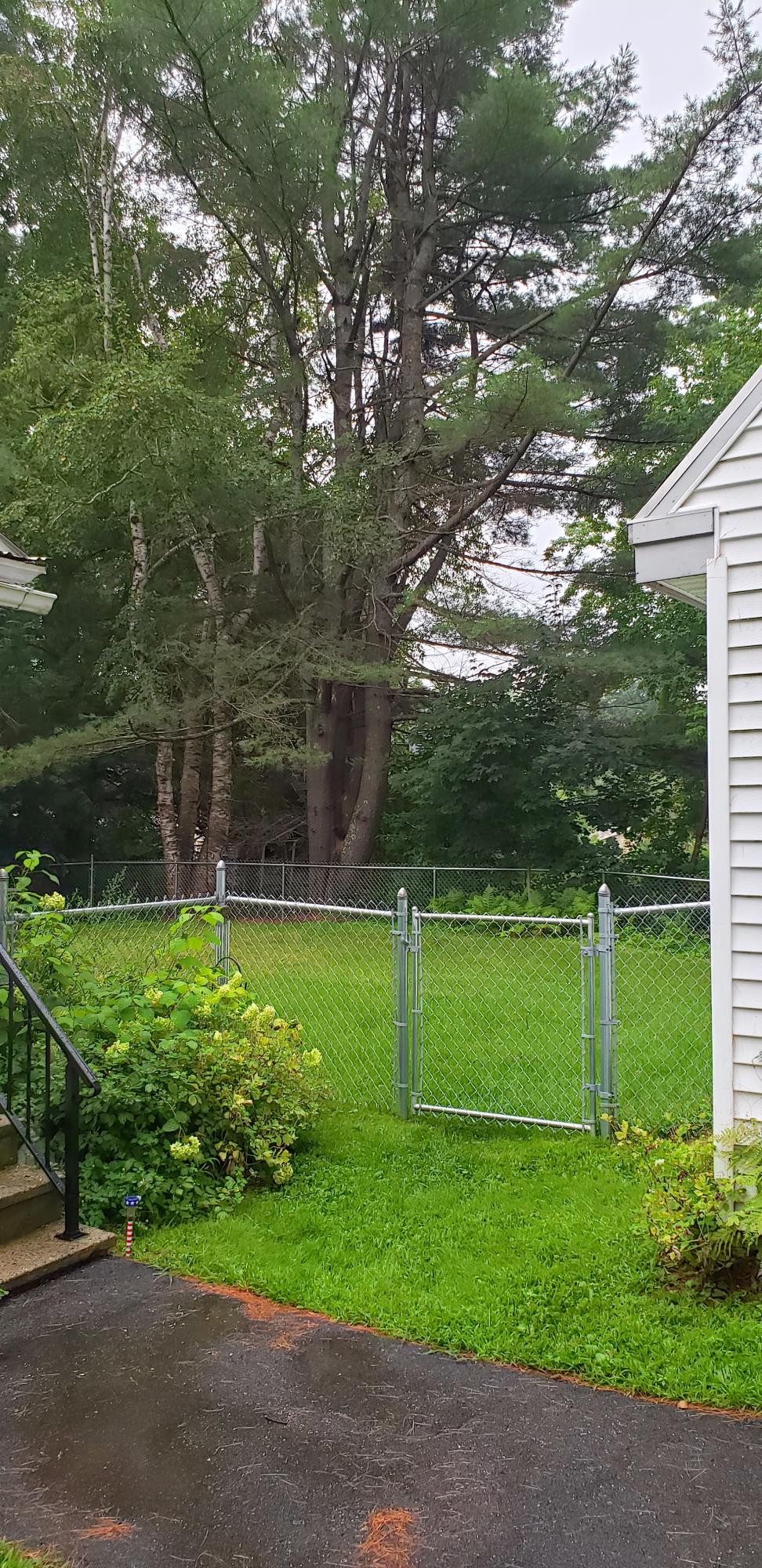 90 Belgrade Road Oakland, ME 04963 - Photo 22 of 23 Back yard