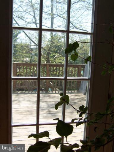 2204 Predella Drive Silver Spring, MD 20902 - Photo 3 of 17 Deck