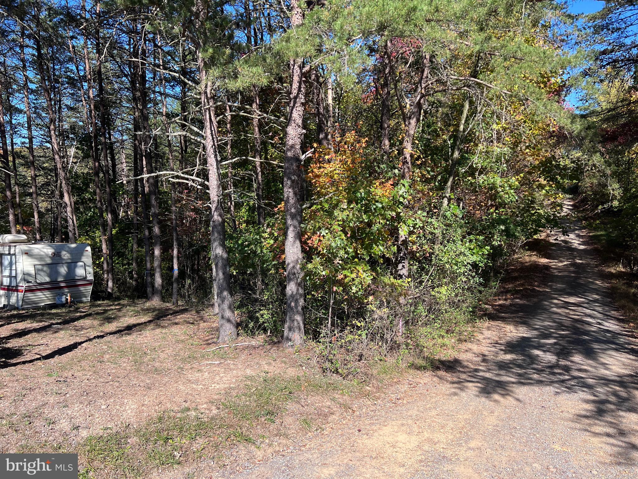 Spriggs Road Berkeley Springs, WV 25411 - Photo 4 of 9 Setting