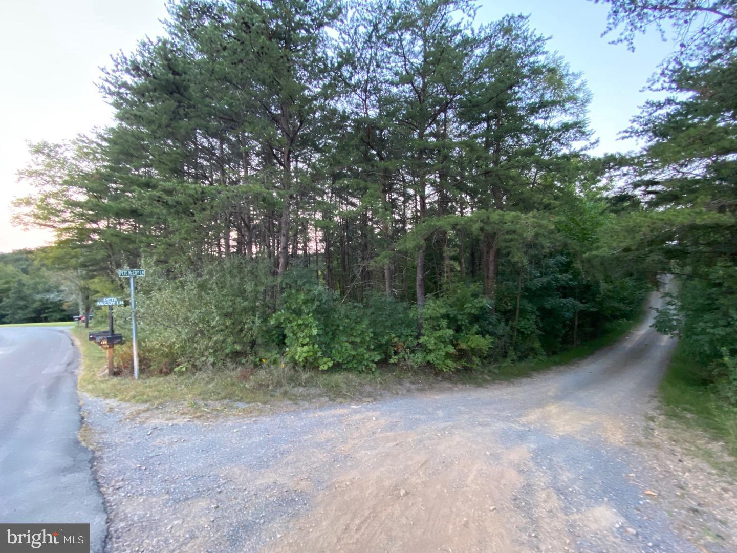 Spriggs Road Berkeley Springs, WV 25411 - Photo 8 of 9 Before the Camper