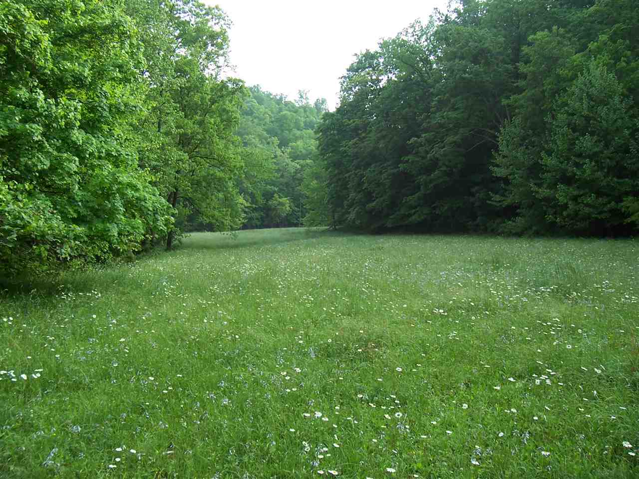 952 Gates Line Road Leon, WV 25123 - Photo 14 of 21 Gallery Image 14