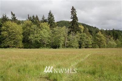 -lot 4 Carpenter Road Castle Rock, WA 98611 - Photo 1 of 1 Gallery Image 1
