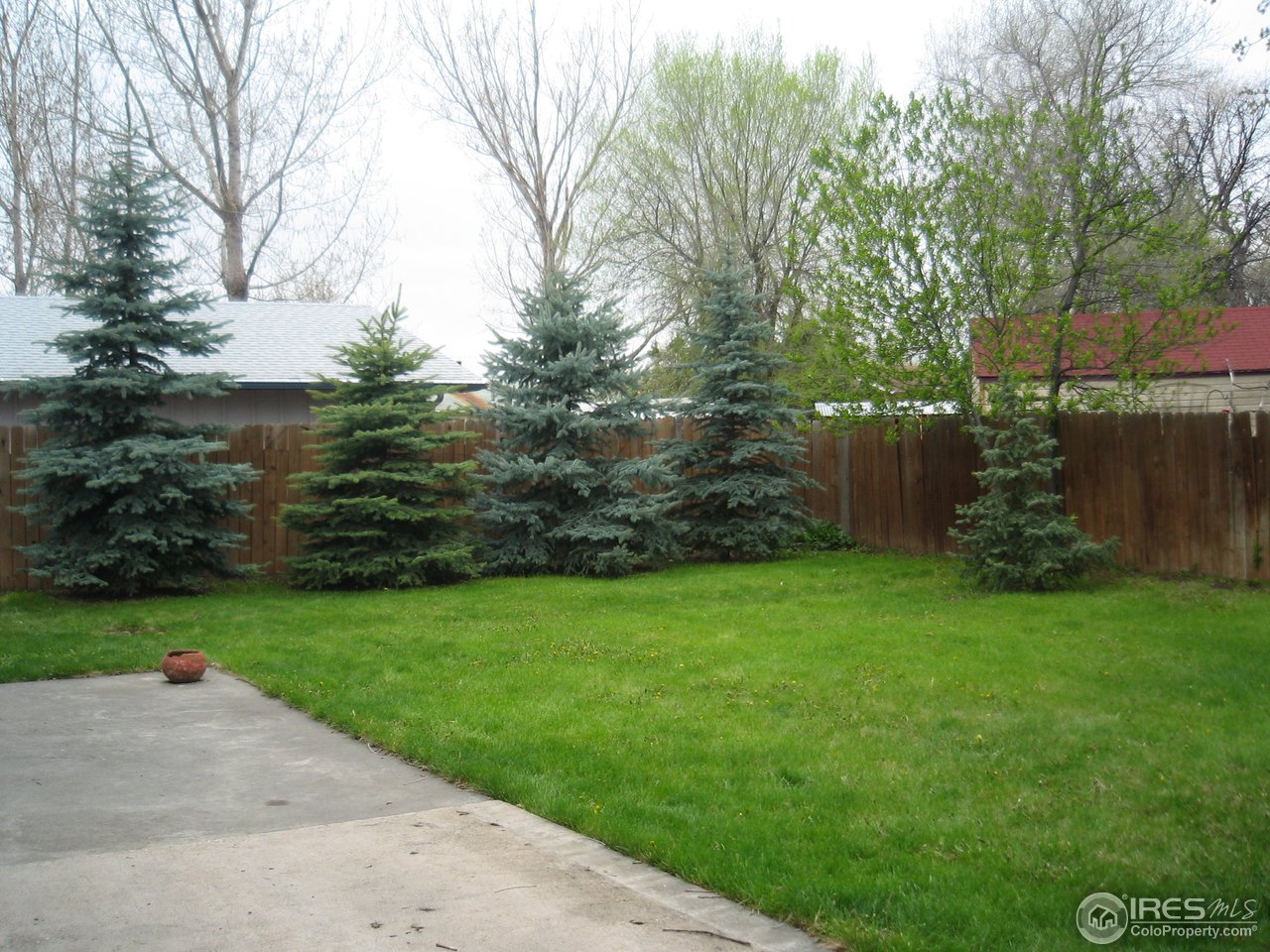 713 North Montview Road Fort Collins, CO 80521 - Photo 3 of 8 Gallery Image 3