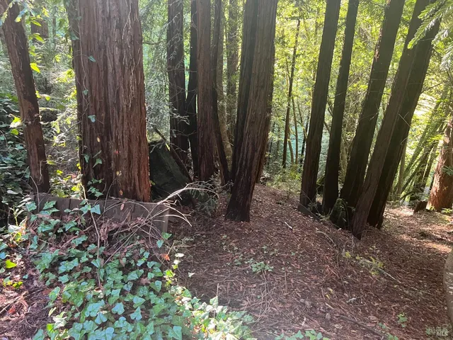 a backyard of a house with lots of green space