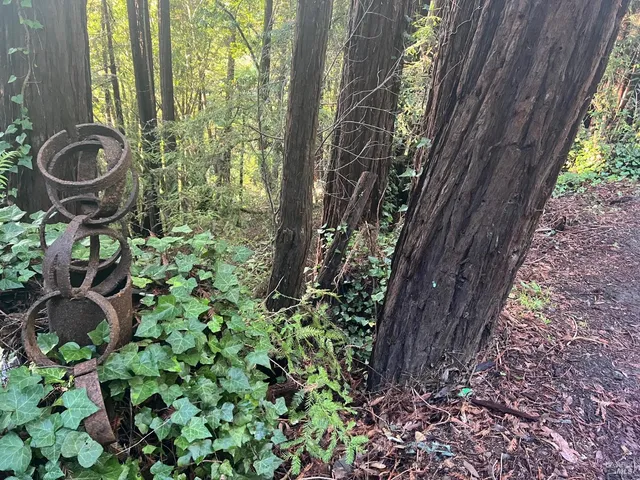 a backyard of a house with lots of green space