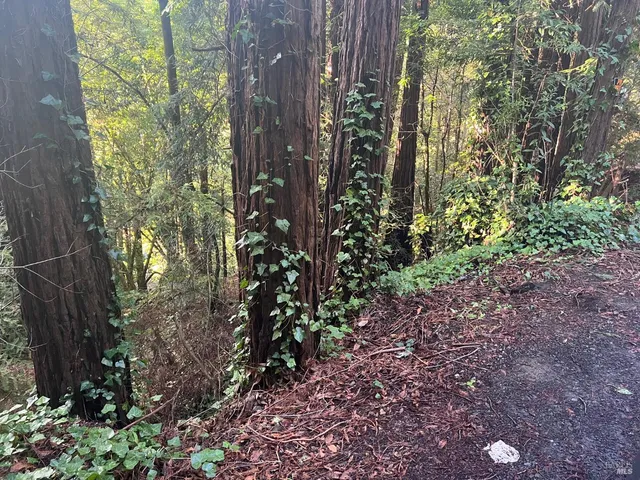a view of outdoor space and green space