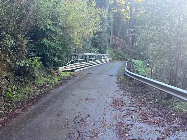 a view of a forest with trees