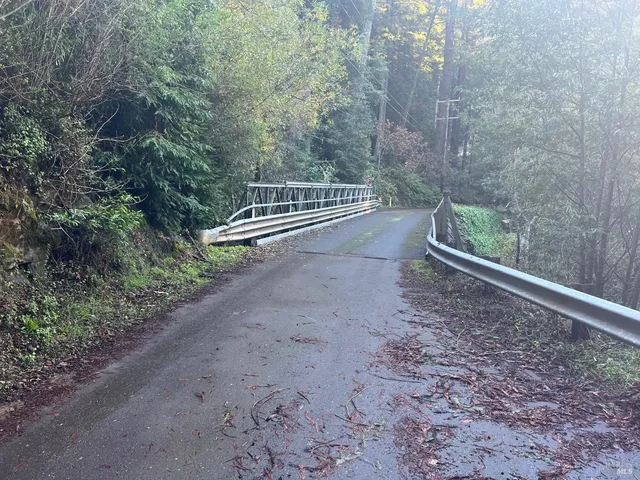 a view of a forest with trees