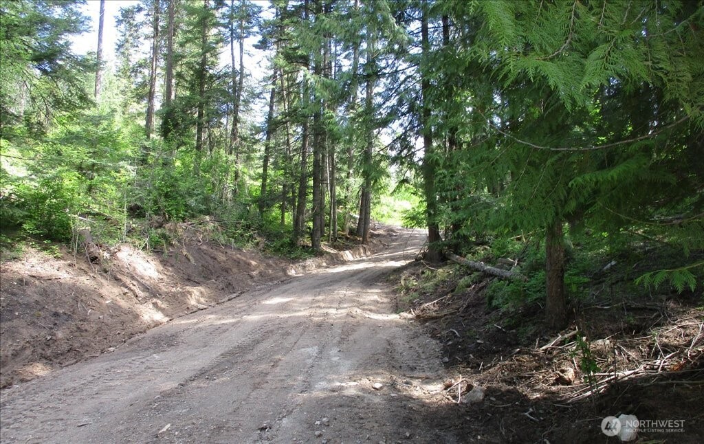 18-xxx East Miner Road Mead, WA 99021 - Photo 32 of 40 a view of a forest with trees
