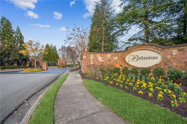 a view of a park with large trees