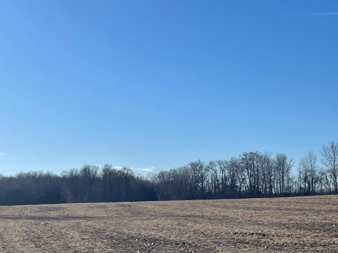 Lot A Logtown Road Oconto, WI 54153 - Photo 3 of 6 Gallery Image 3