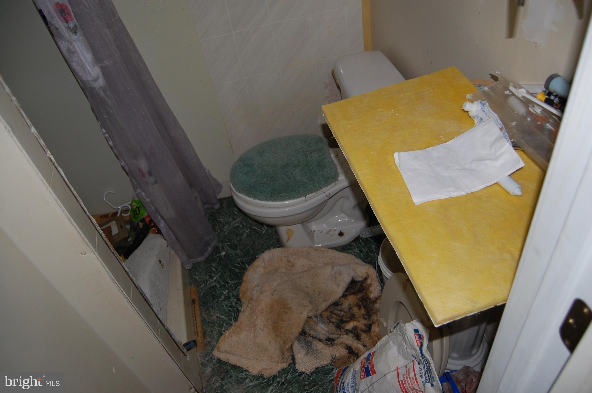 211 Hammershire Road, Unit A Reisterstown, MD 21136 - Photo 36 of 41 Basement Bathroom
