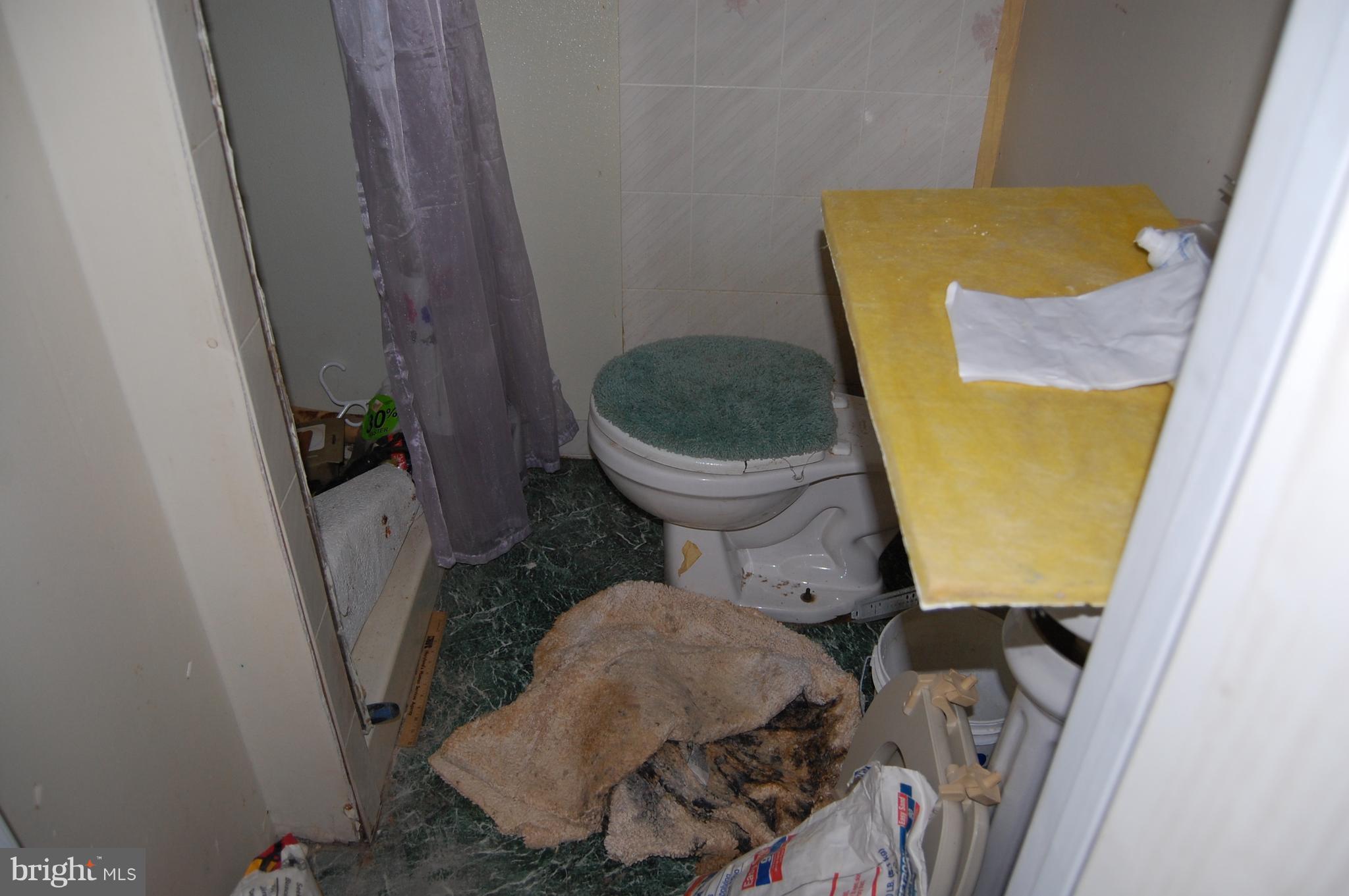 211 Hammershire Road, Unit A Reisterstown, MD 21136 - Photo 37 of 41 Basement Bathroom