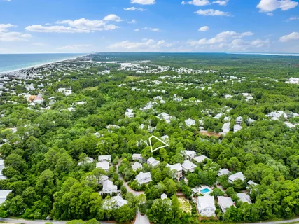 a view of a bunch of flowers