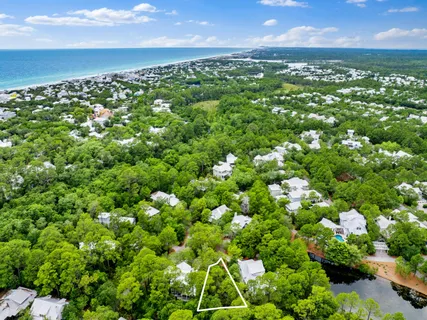 a view of a bunch of plants