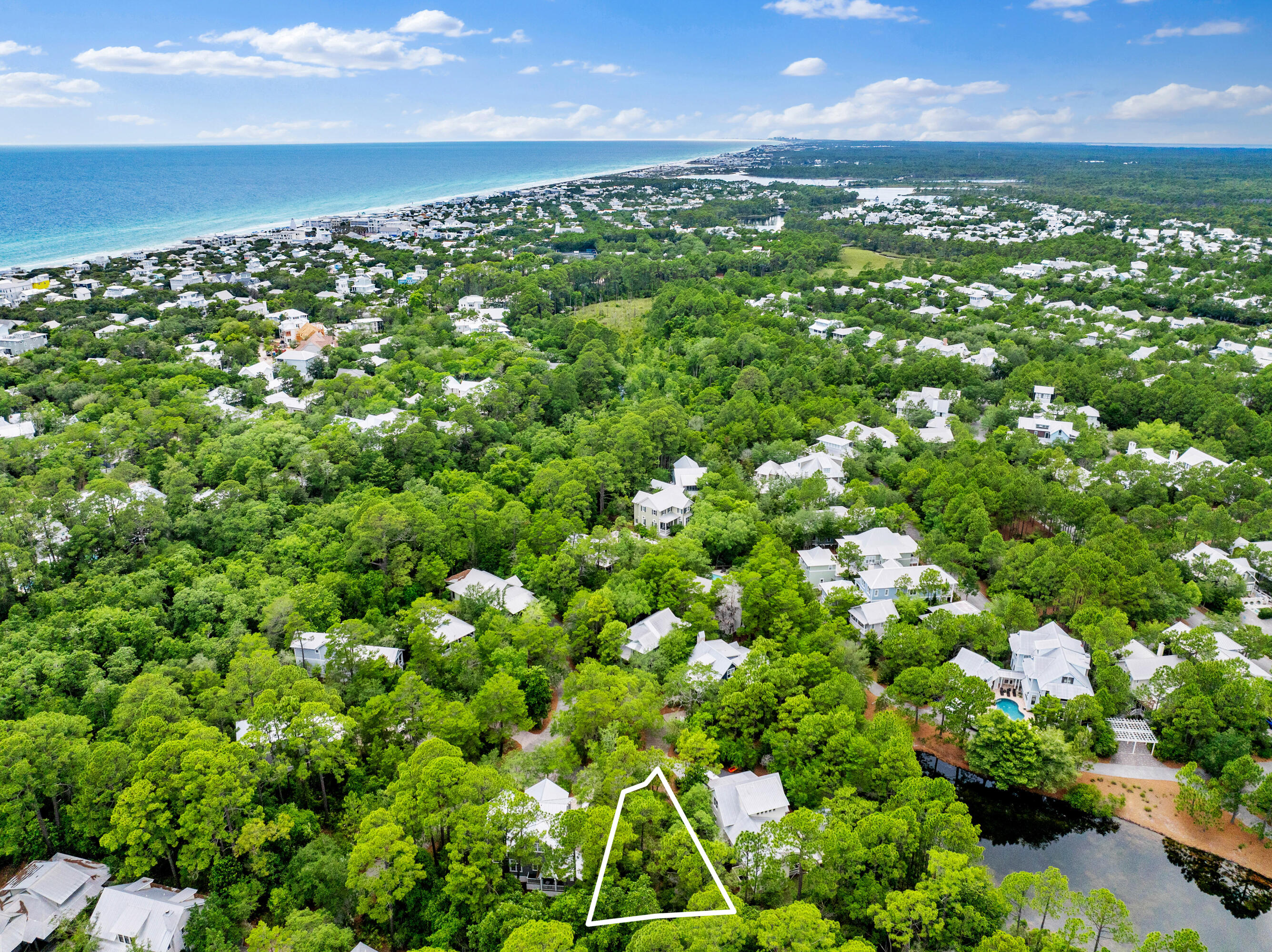 42 Bosk Lane Santa Rosa Beach, FL 32459 - Photo 8 of 13 a view of a bunch of flowers