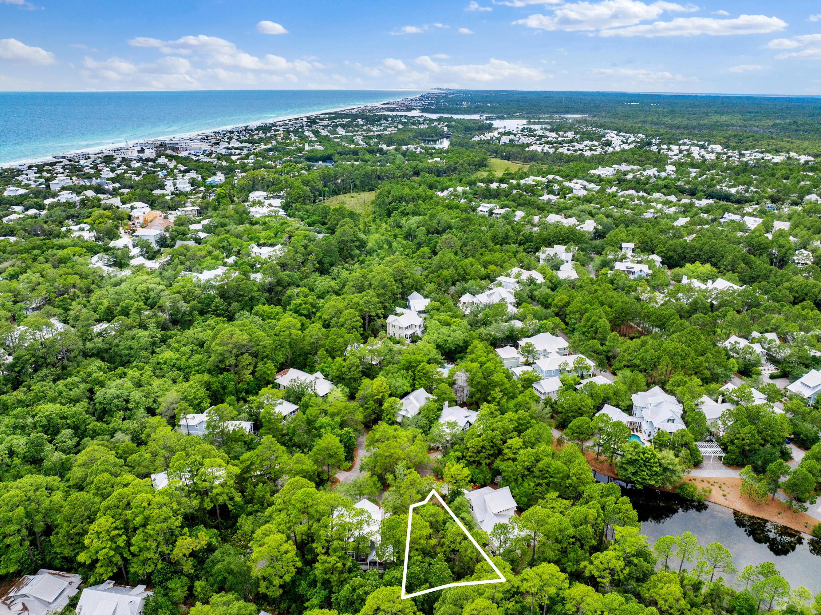 42 Bosk Lane Santa Rosa Beach, FL 32459 - Photo 9 of 13 a view of a bunch of plants