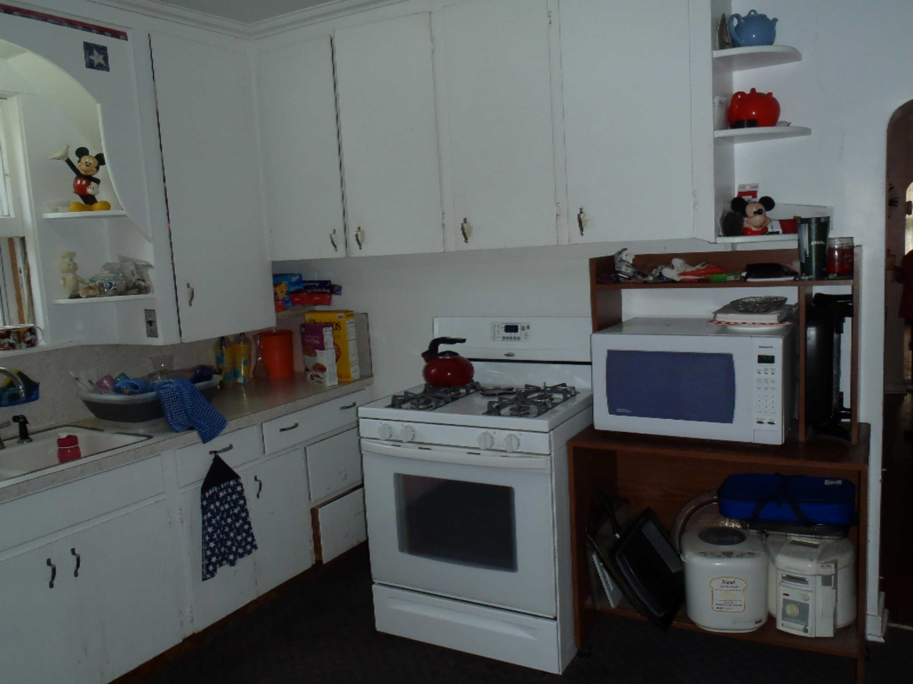 11714 Old Belding Road Northeast Belding, MI 48809 - Photo 6 of 17 Kitchen