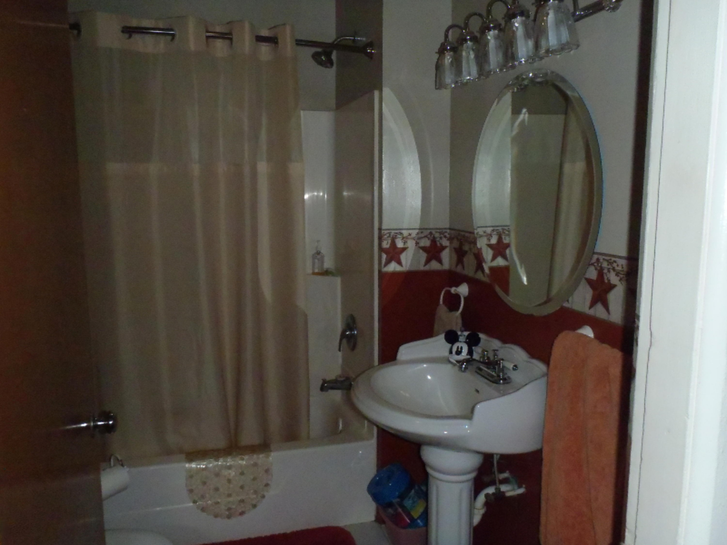 11714 Old Belding Road Northeast Belding, MI 48809 - Photo 8 of 17 Bath rom