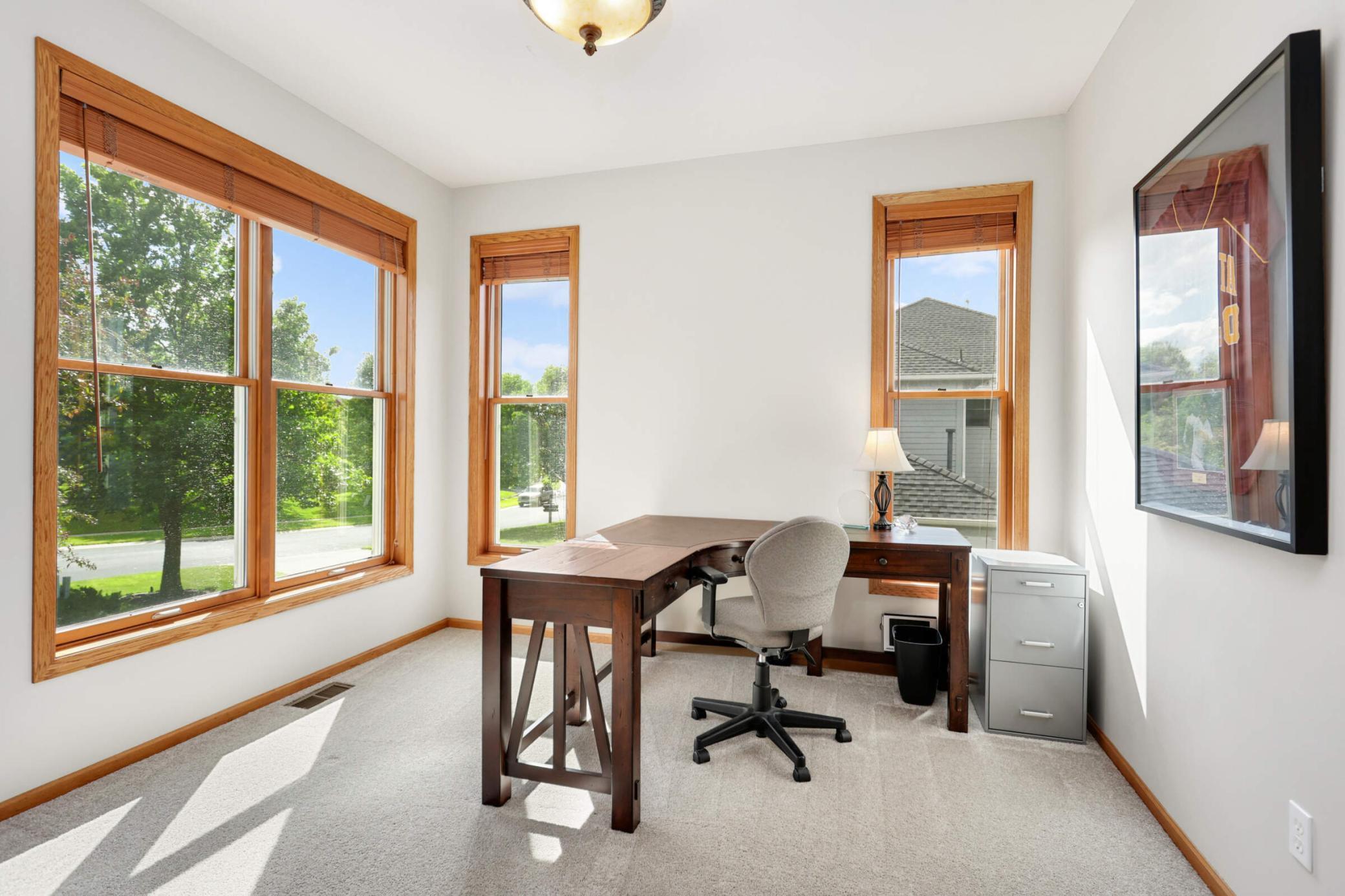 6855 Ruby Lane Chanhassen, MN 55317 - Photo 17 of 51