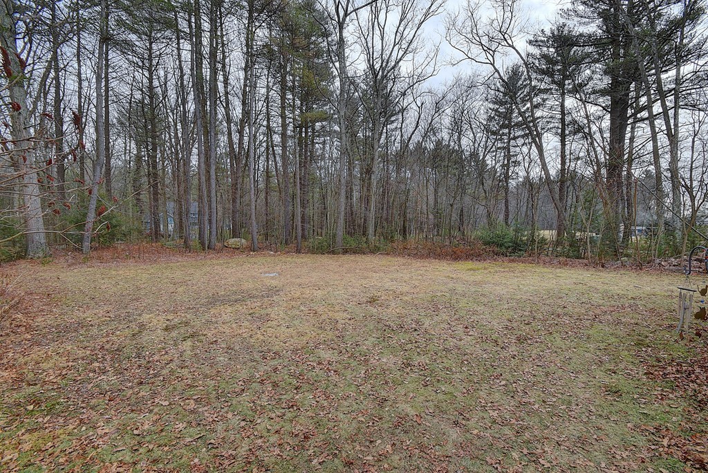 218 New Boston Road Sturbridge, MA 01566 - Photo 23 of 23 a view of backyard with tree